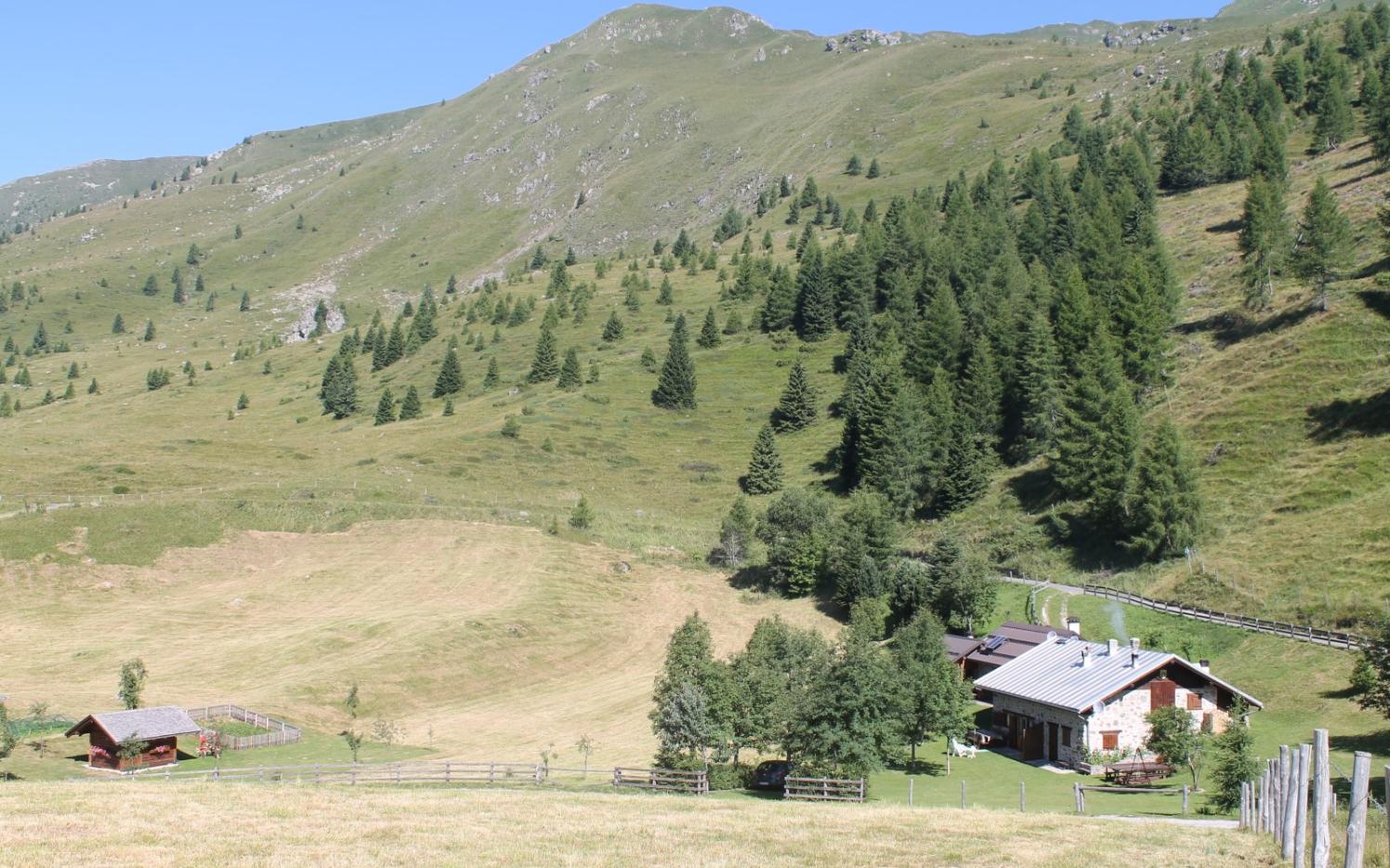 2015_Algund Malga Colo Süd Front Welsch Tirol_Gedenkkreuz Standschützen (1)